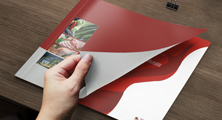 &#20048;&#40060;&#119;&#101;&#98;&#29256;&#30331;&#24405;&#20837;&#21475;&#45;&#20048;&#40060;&#111;&#110;&#108;&#105;&#110;&#101;&#40;&#20013;&#22269;&#41;